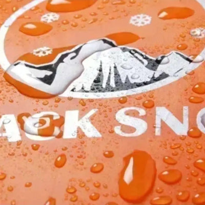 4 Season Mummy Sleeping Bag