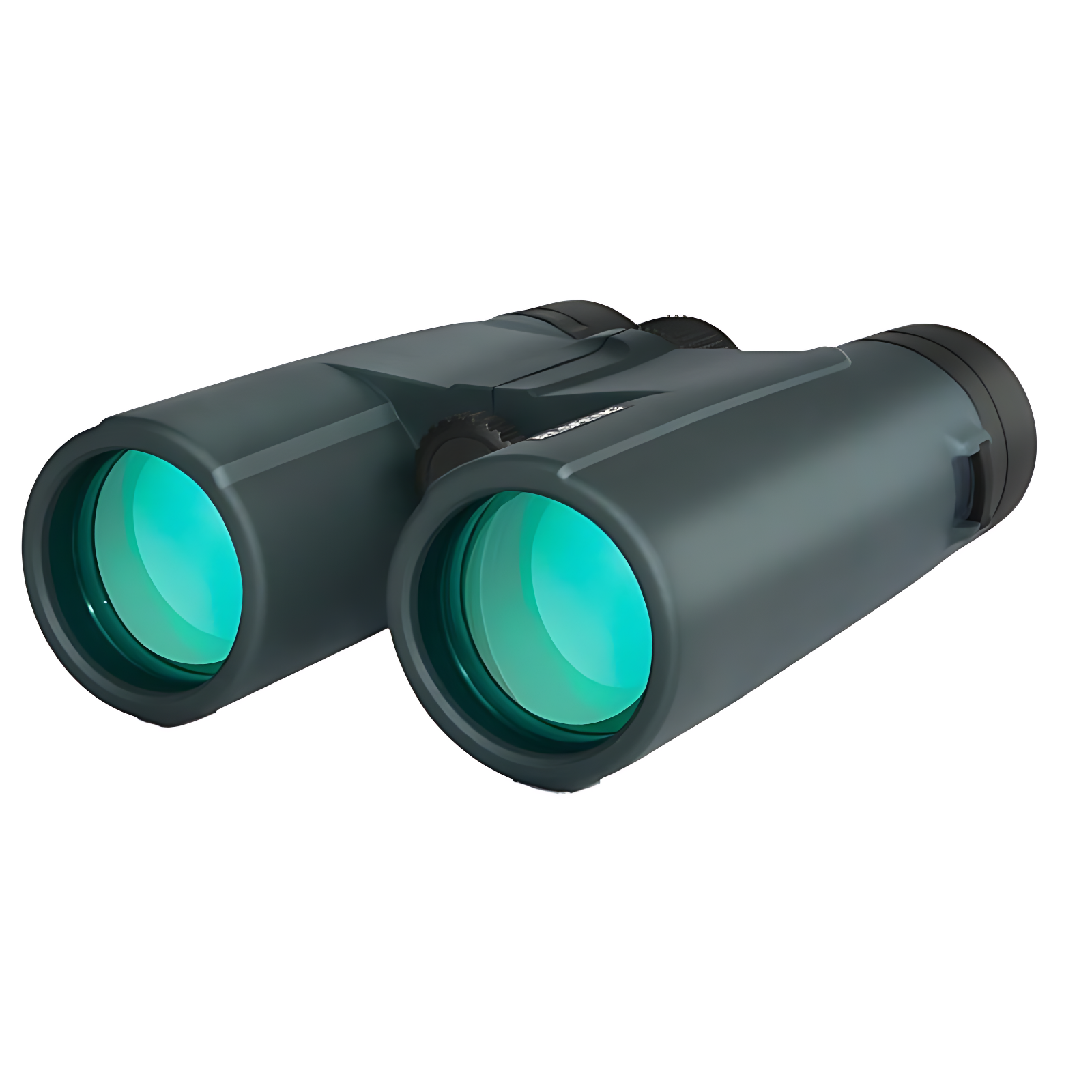 Best Low Light 8x42 Binoculars