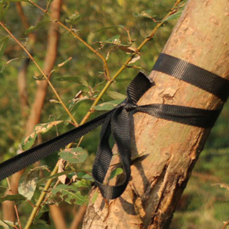 Camping Hammock with Mosquito Net