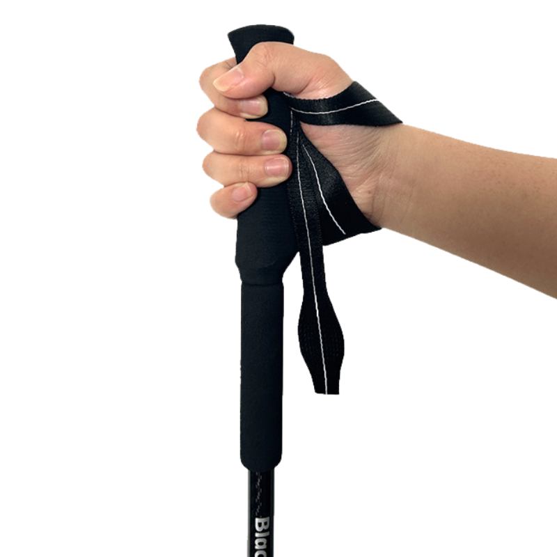 Carbon trekking pole