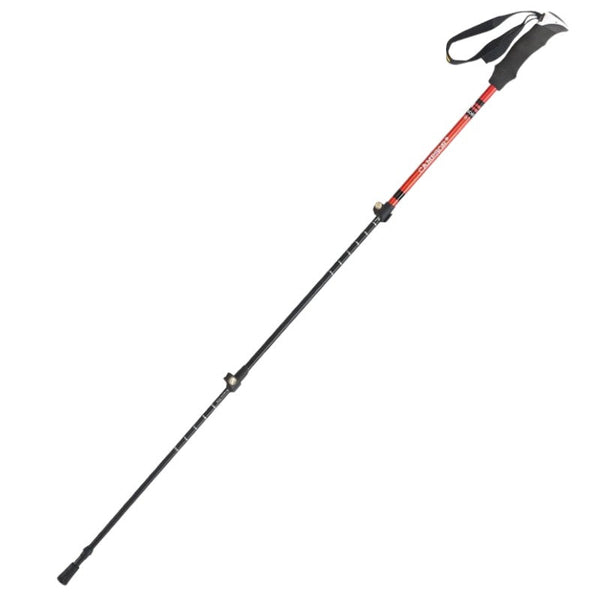 Telescopic trekking poles