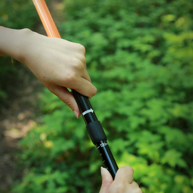 Women's trekking poles