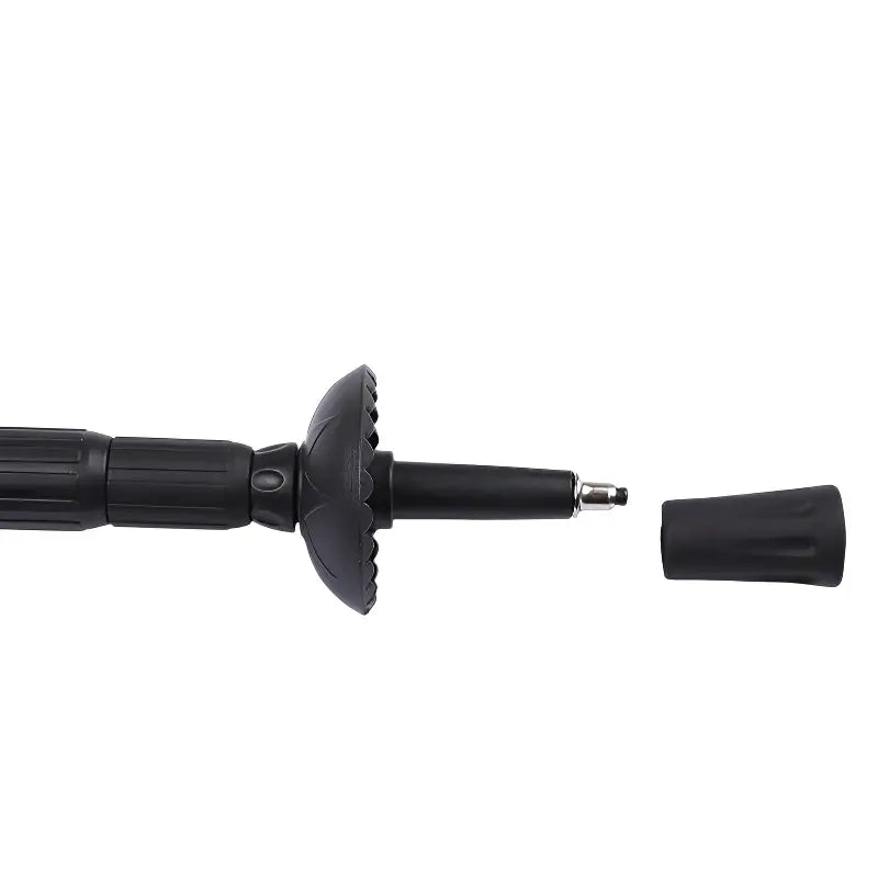Hiking stick