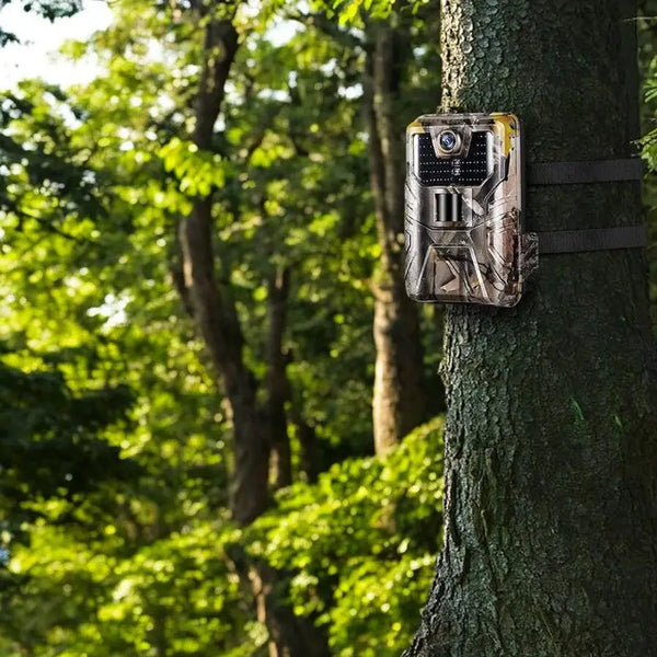 No glow trail camera