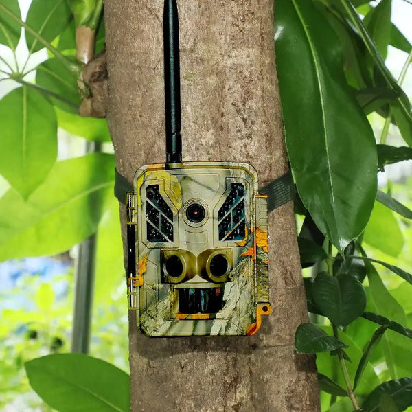 Wifi trail camera