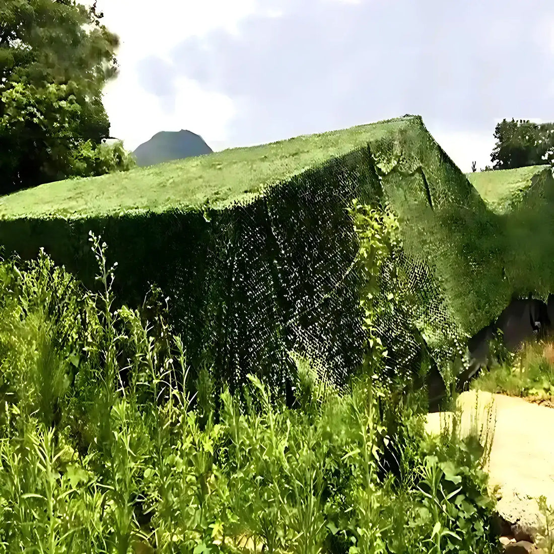 Camo netting