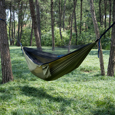 Hammock with mosquito net tent