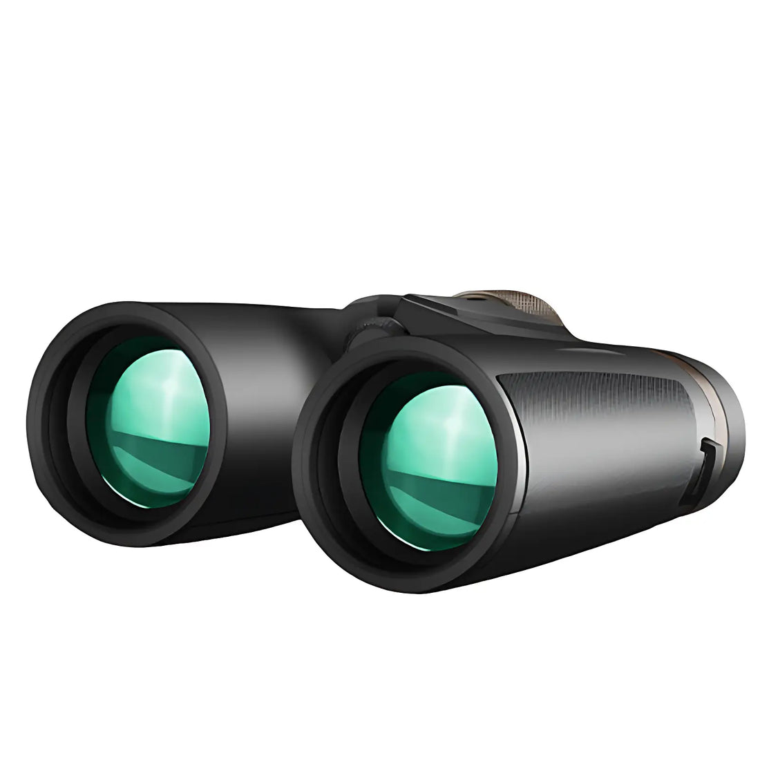 10x42 binoculars