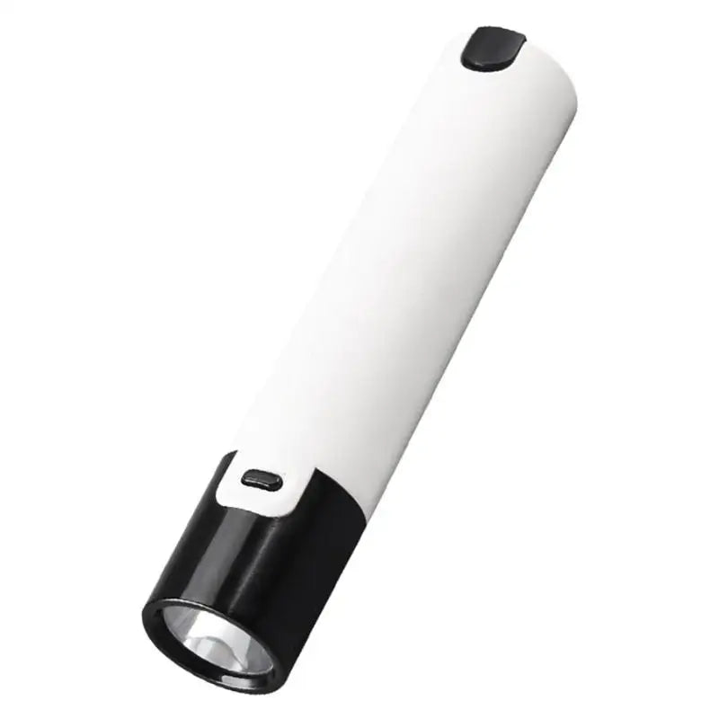 Small rechargeable torch