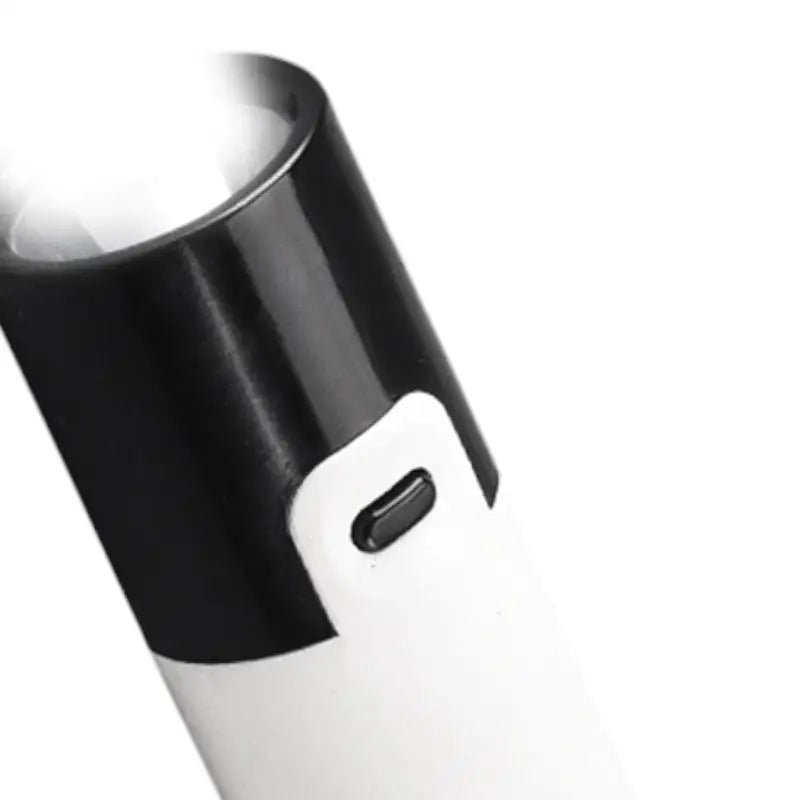Small rechargeable torch