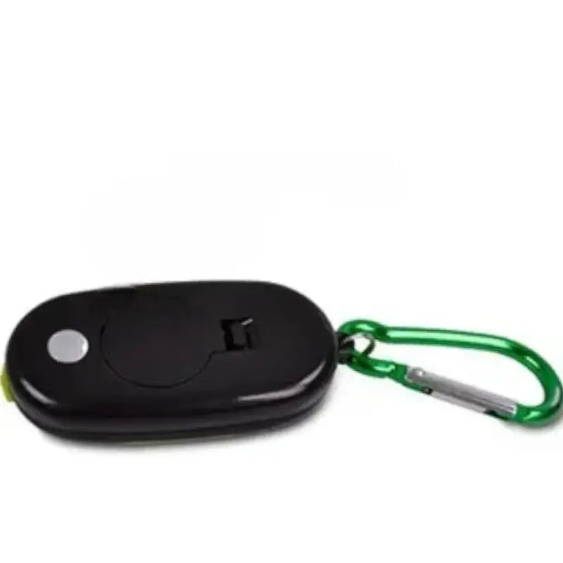Keychain torch