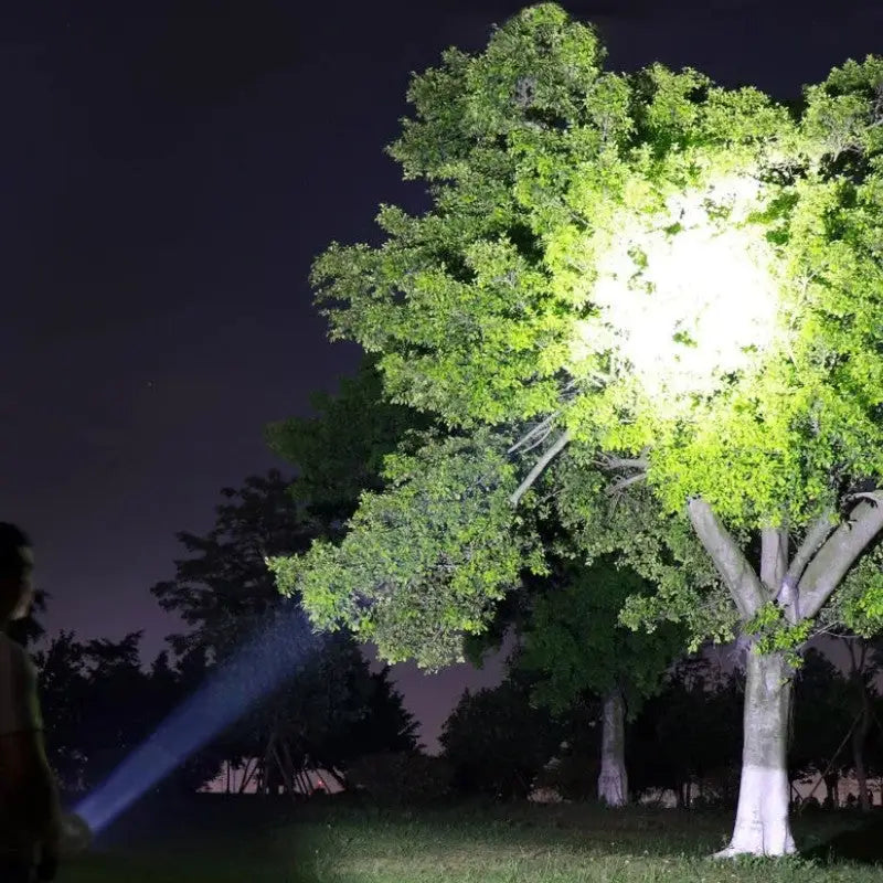 Spotlight torch
