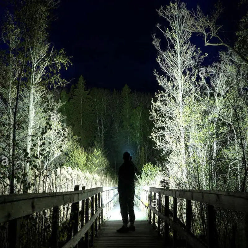 Spotlight torch
