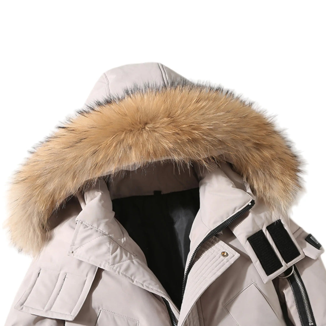 Men's down parka