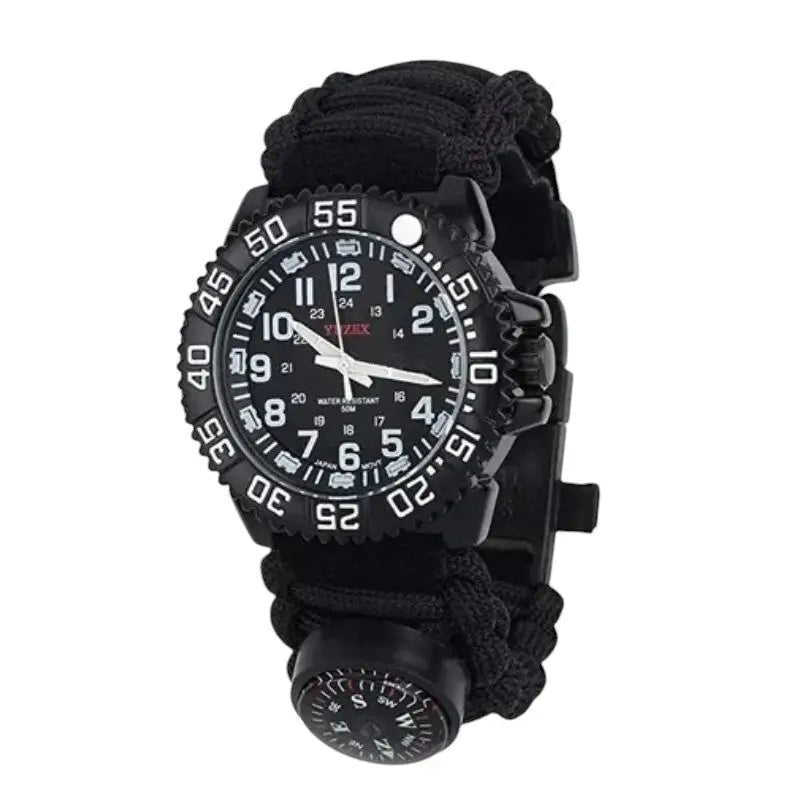 Compass watch