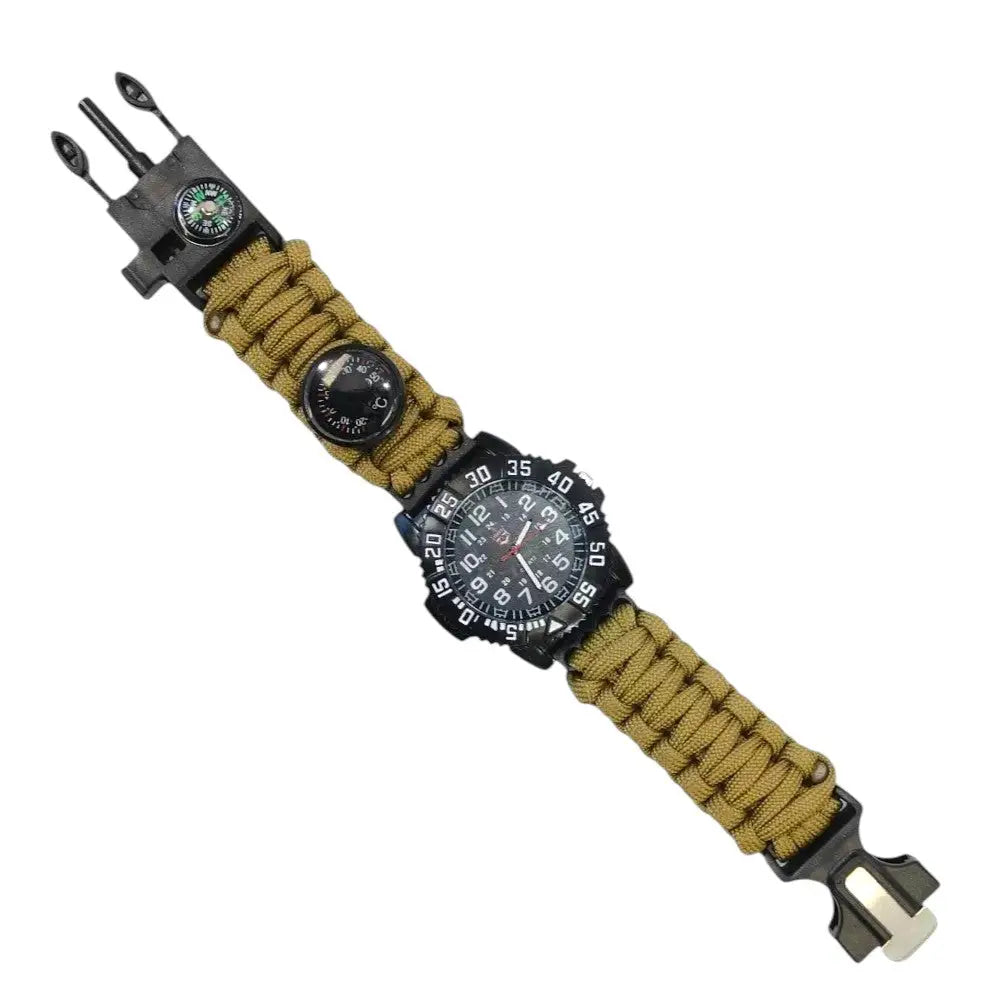 Compass watch